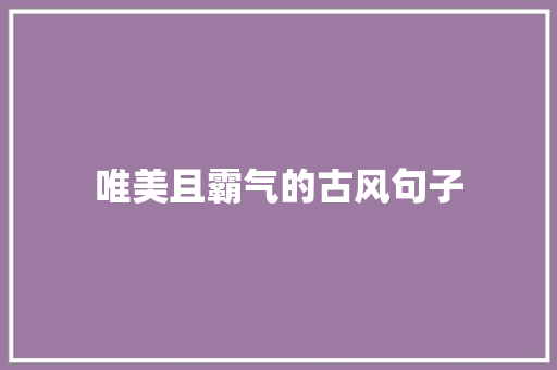 唯美且霸气的古风句子