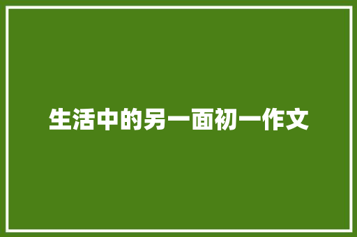 生活中的另一面初一作文