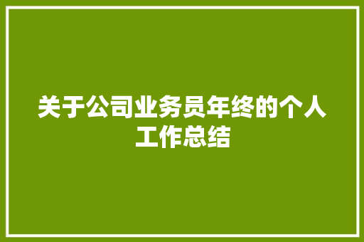 关于公司业务员年终的个人工作总结