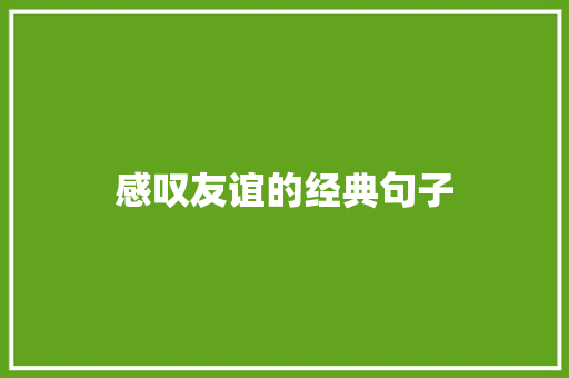 感叹友谊的经典句子 求职信范文