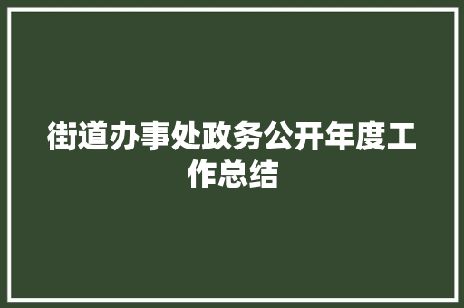 街道办事处政务公开年度工作总结