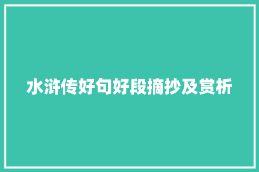 水浒传好句好段摘抄及赏析