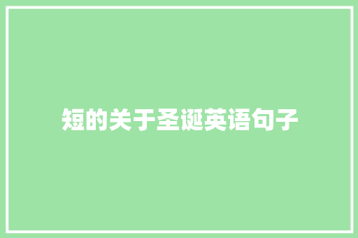 短的关于圣诞英语句子 综述范文