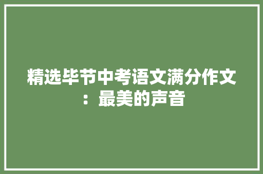 精选毕节中考语文满分作文：最美的声音