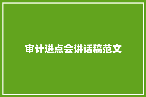 审计进点会讲话稿范文