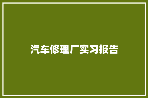 汽车修理厂实习报告