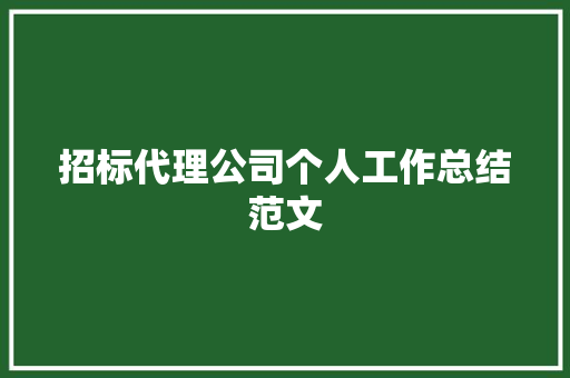 招标代理公司个人工作总结范文 演讲稿范文