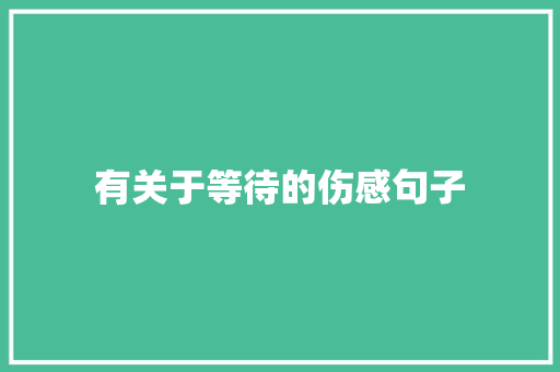 有关于等待的伤感句子 论文范文