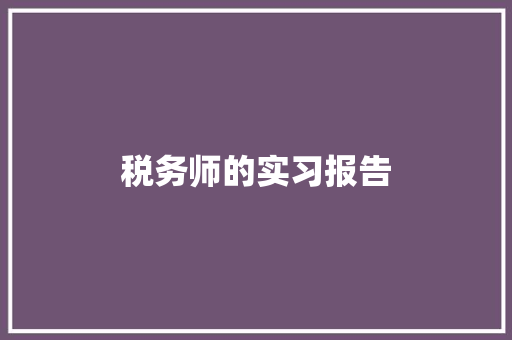 税务师的实习报告