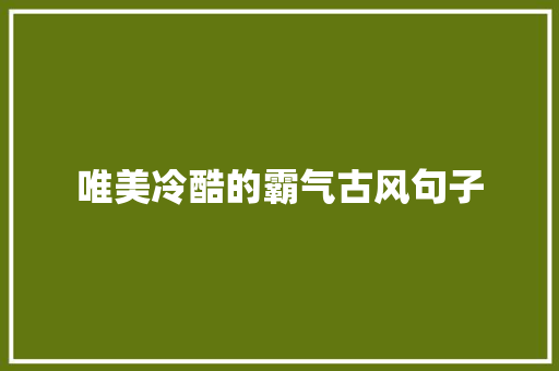 唯美冷酷的霸气古风句子