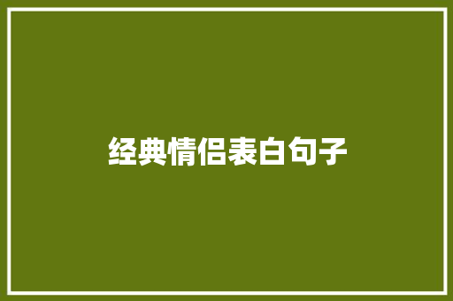 经典情侣表白句子