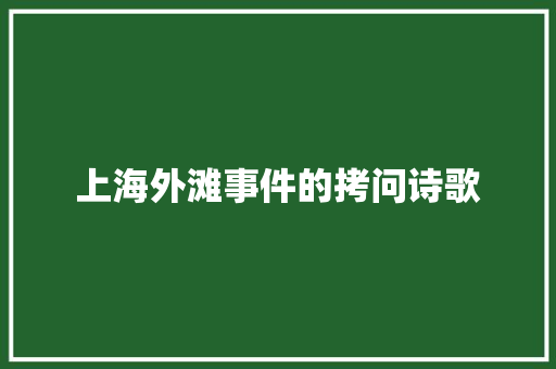 上海外滩事件的拷问诗歌