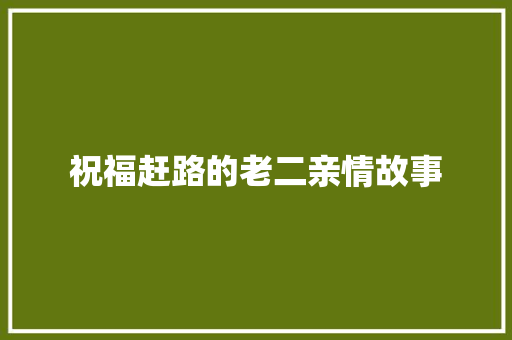 祝福赶路的老二亲情故事