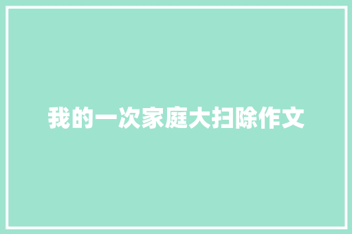 我的一次家庭大扫除作文