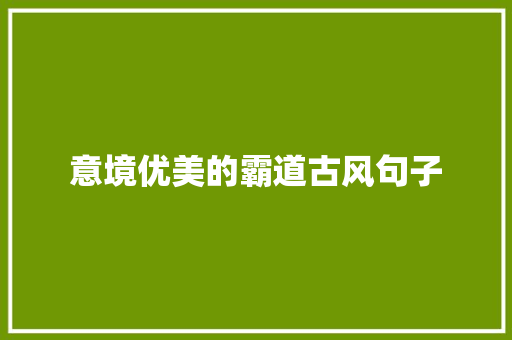 意境优美的霸道古风句子