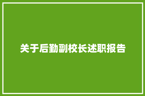 关于后勤副校长述职报告 生活范文