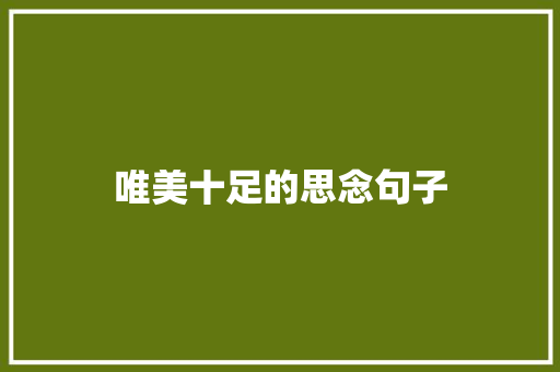 唯美十足的思念句子 求职信范文