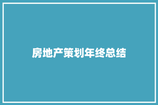 房地产策划年终总结