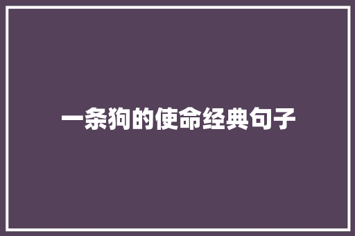 一条狗的使命经典句子