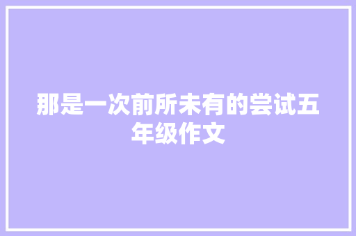 那是一次前所未有的尝试五年级作文