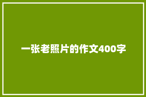 一张老照片的作文400字 综述范文