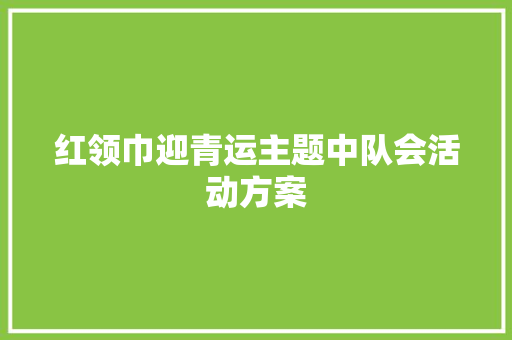 红领巾迎青运主题中队会活动方案