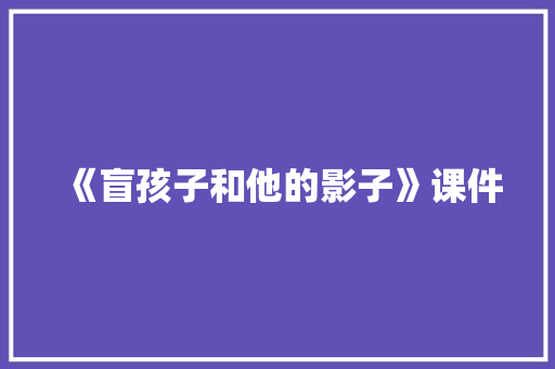 《盲孩子和他的影子》课件