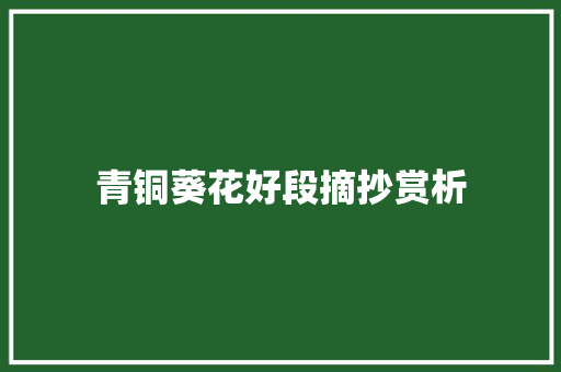 青铜葵花好段摘抄赏析