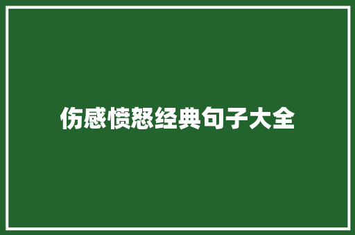 伤感愤怒经典句子大全 报告范文