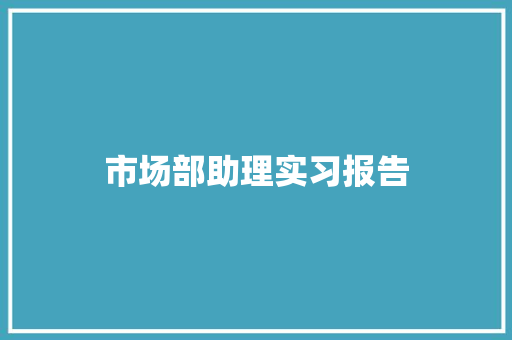 市场部助理实习报告