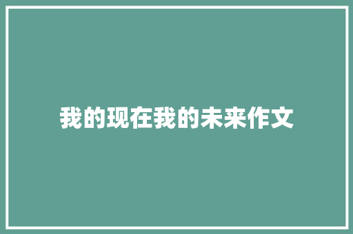 我的现在我的未来作文 会议纪要范文