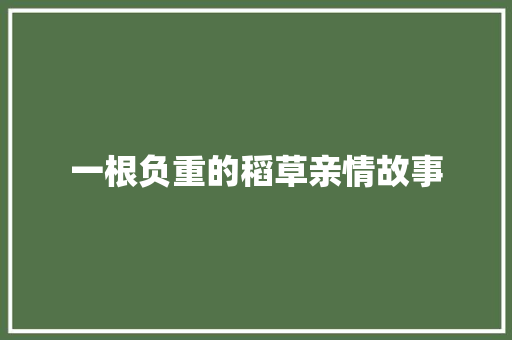 一根负重的稻草亲情故事