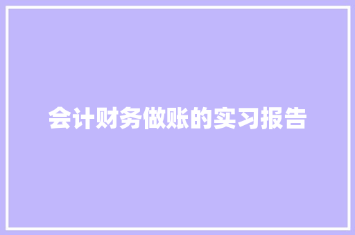 会计财务做账的实习报告 申请书范文