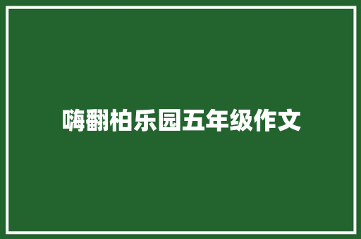 嗨翻柏乐园五年级作文