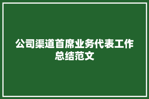 公司渠道首席业务代表工作总结范文