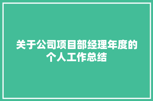 关于公司项目部经理年度的个人工作总结