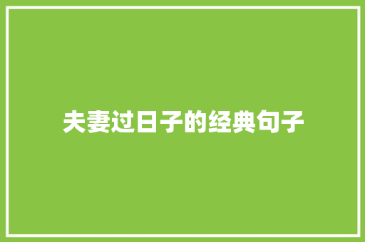 夫妻过日子的经典句子 致辞范文