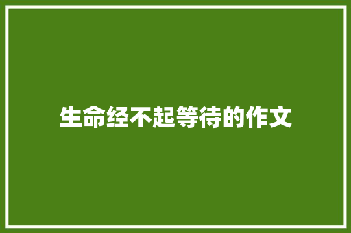 生命经不起等待的作文 职场范文