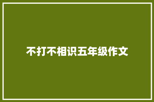 不打不相识五年级作文