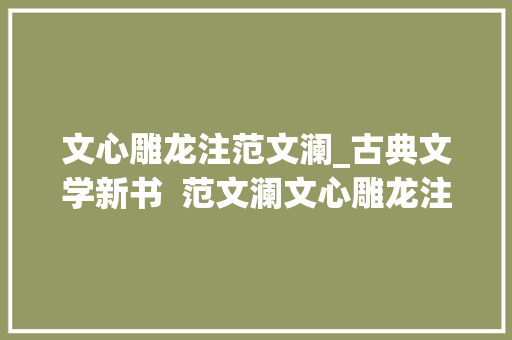 文心雕龙注范文澜_古典文学新书  范文澜文心雕龙注简体横排版