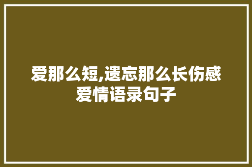 爱那么短,遗忘那么长伤感爱情语录句子