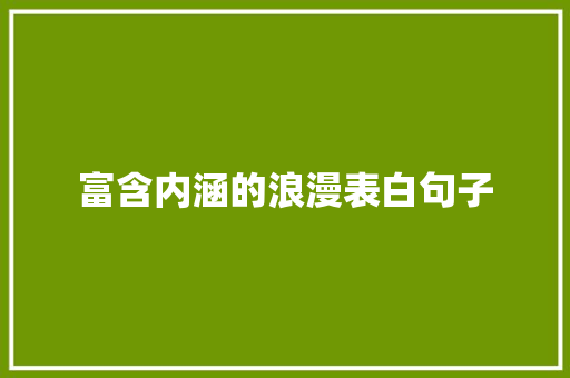 富含内涵的浪漫表白句子 会议纪要范文