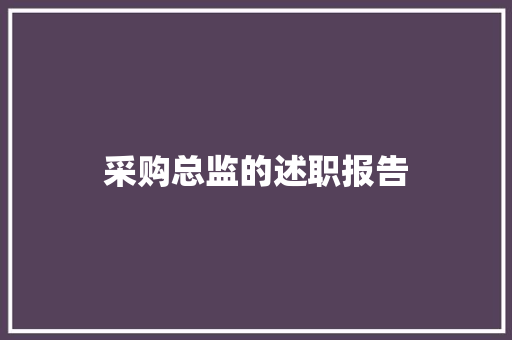 采购总监的述职报告