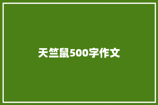 天竺鼠500字作文 论文范文