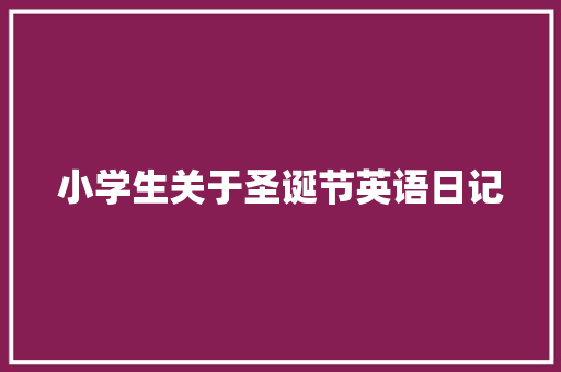 小学生关于圣诞节英语日记 论文范文