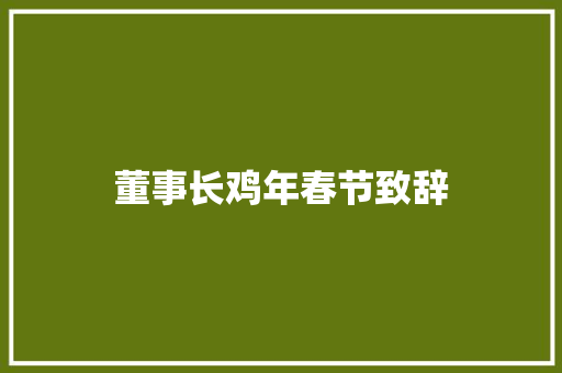 董事长鸡年春节致辞