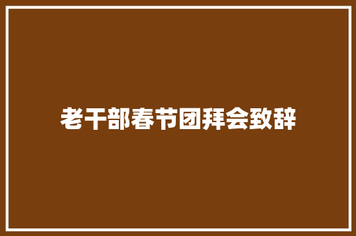 老干部春节团拜会致辞