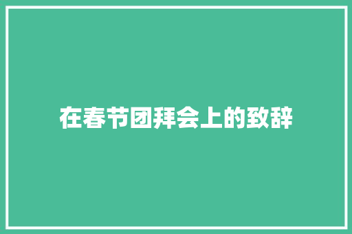 在春节团拜会上的致辞