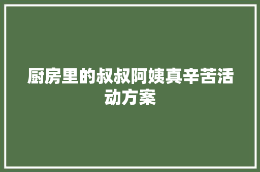 厨房里的叔叔阿姨真辛苦活动方案 论文范文