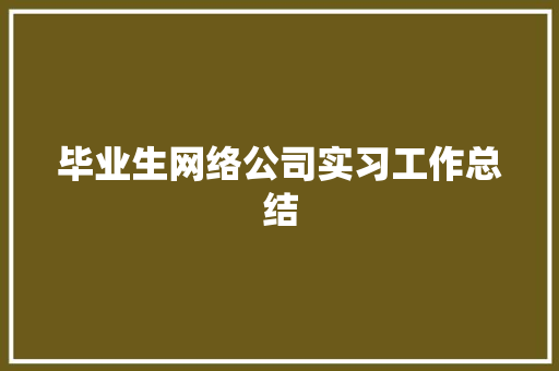 毕业生网络公司实习工作总结